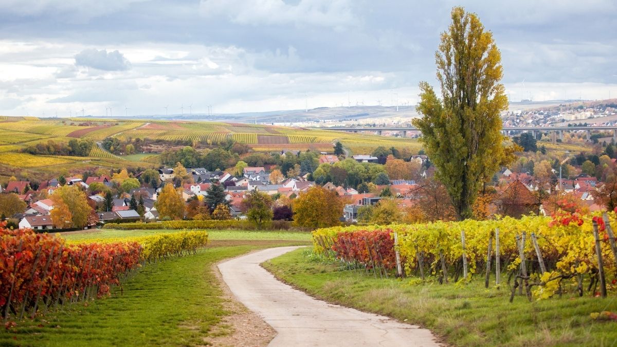 Alzey in Rheinhessen: Die Kreisstadt bietet eine Alternative zu den größeren Städten der Region. 