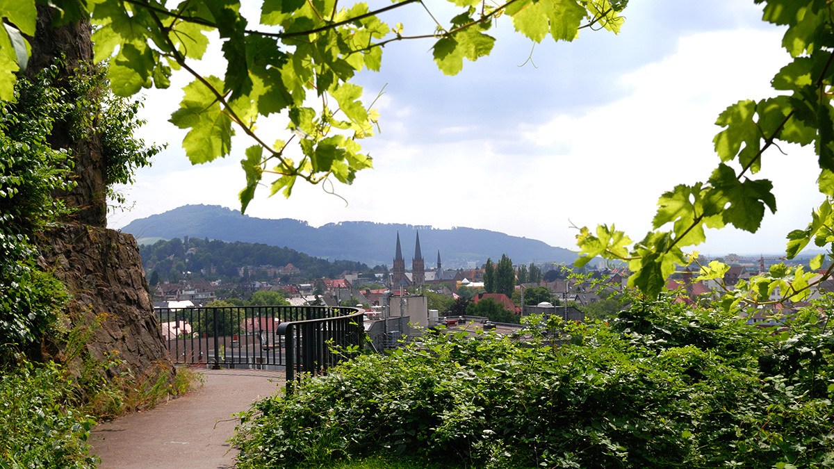 Blick über Freiburg