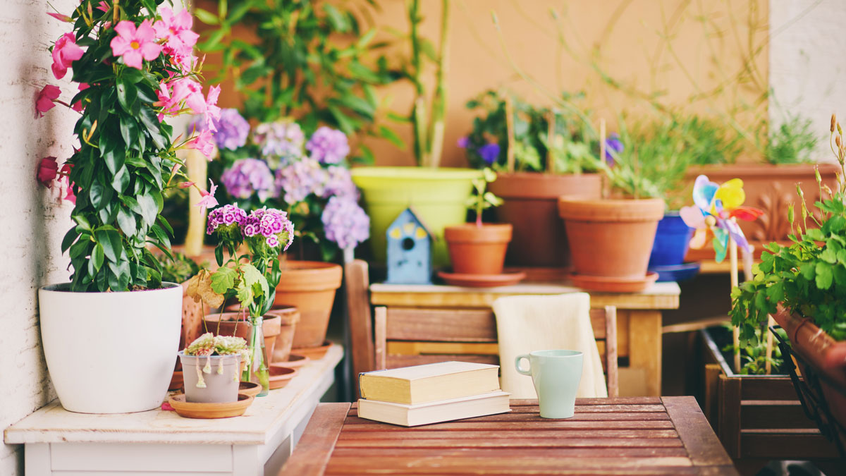 Pflanzen für den Balkon