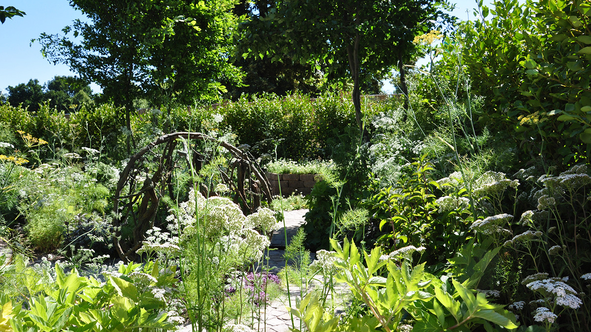 Naturgarten, Blick in einen Naturgarten