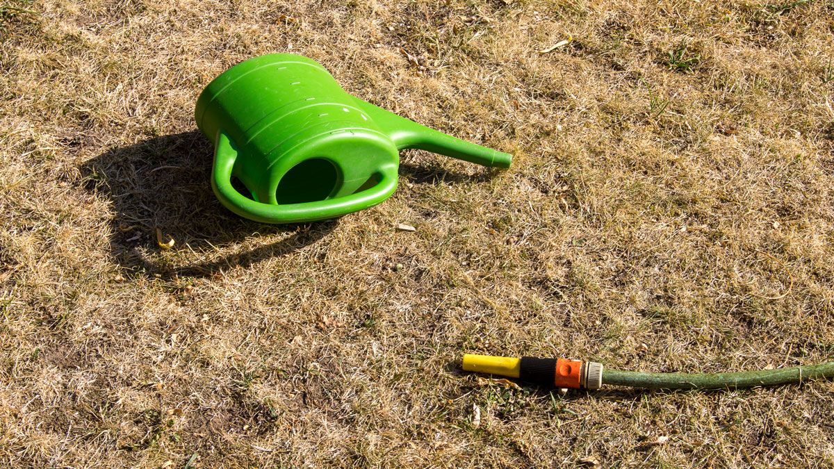 Trockenheit Tipps, vertrockneter Rasen, auf dem eine Gießkanne und ein Schlauch liegen