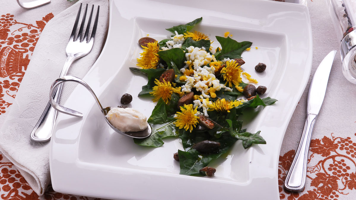 Unkraut oder Heilkraut, Löwenzahnsalat