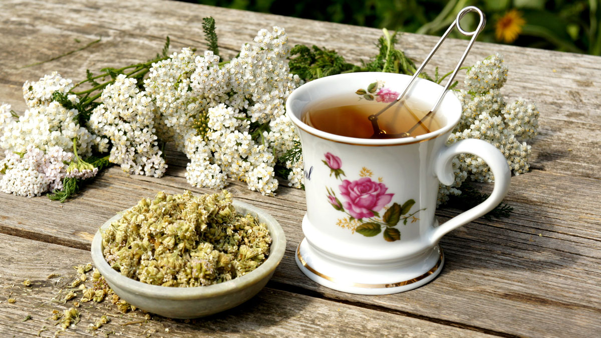 Unkraut oder Heilkraut, Schafgarbentee