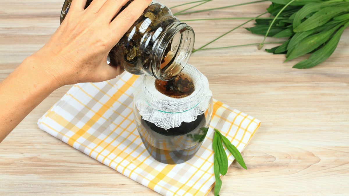 Unkraut oder Heilkraut, Hustensaft aus Spitzwegerich