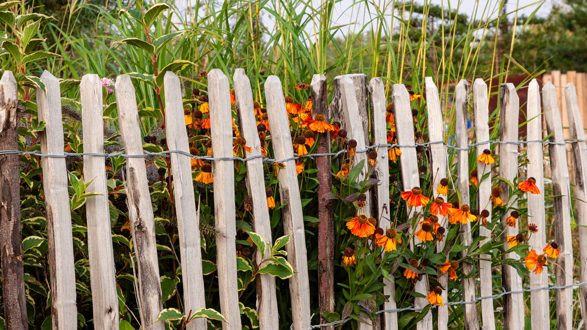 Zäune Tipps, Staketenzaun