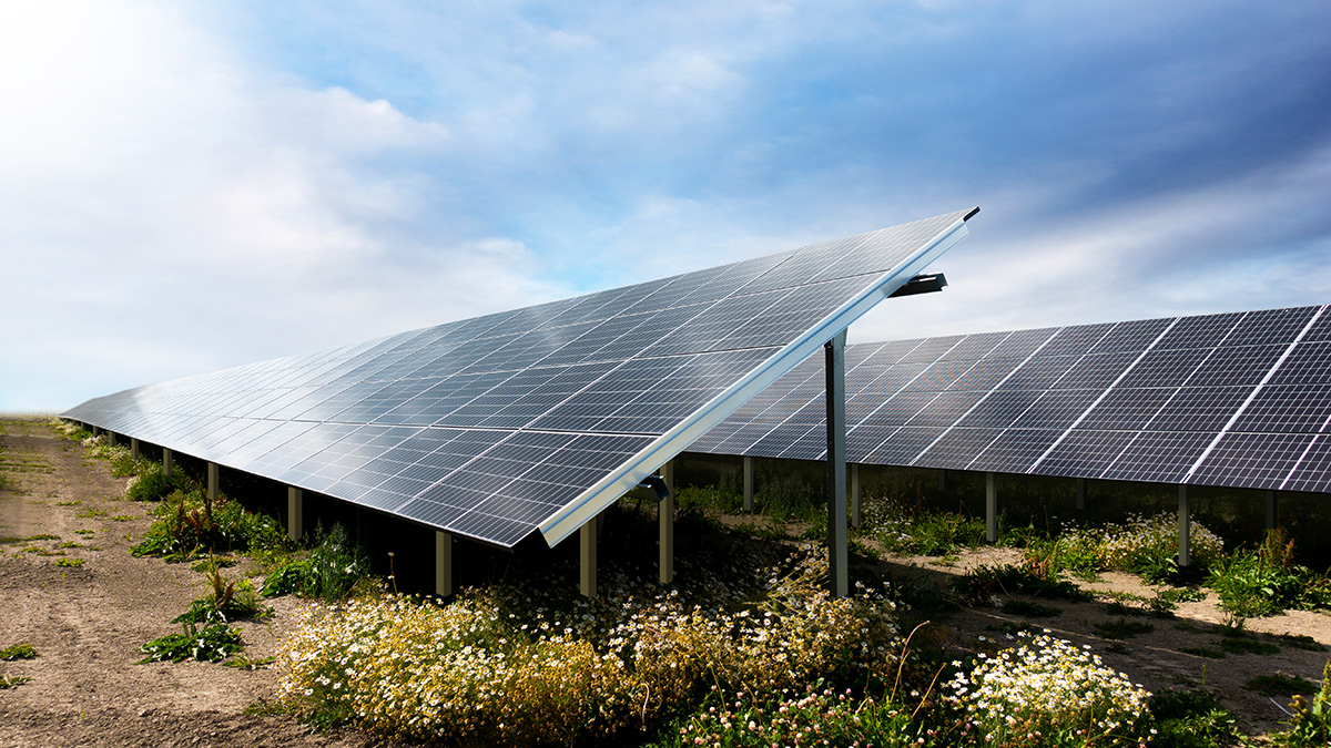 Stehen Photovoltaik-Anlagen bald im Naturschutzgebiet? Foto: iStock.com / PinkBadger