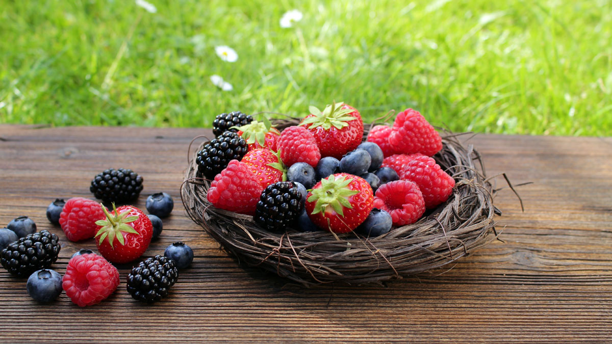 Die besten Beeren züchtest du so. 