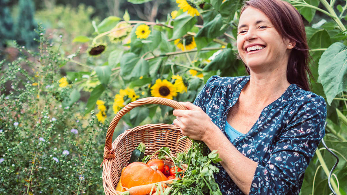 Goldener Herbst Garten, Frau in ihrem Garten mit Gemüse im Korb und Sonnenblumen im Hintergrund