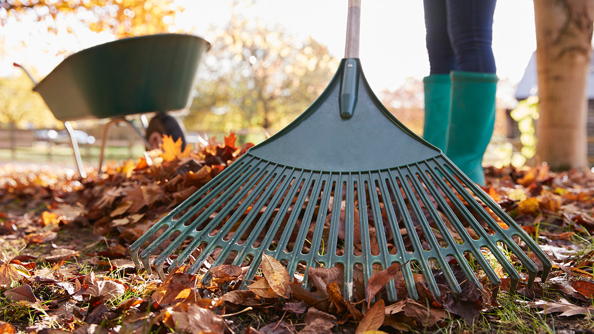 Haus und Garten November, Laub harken