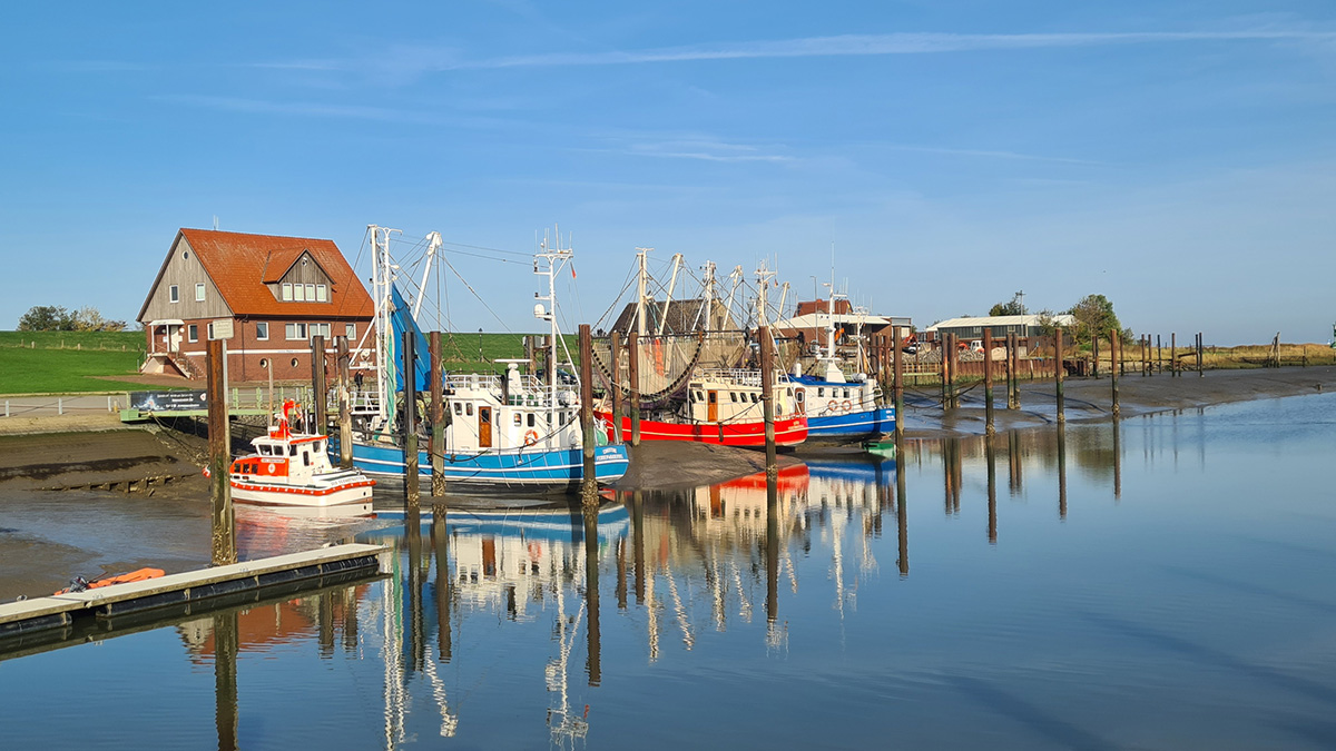 Ferienwohnung Meer günstig, Butjadingen