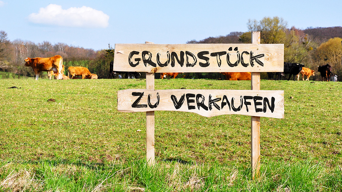 Grundstücke kosten Steuern, wie du unnötige Kosten vermeidest.