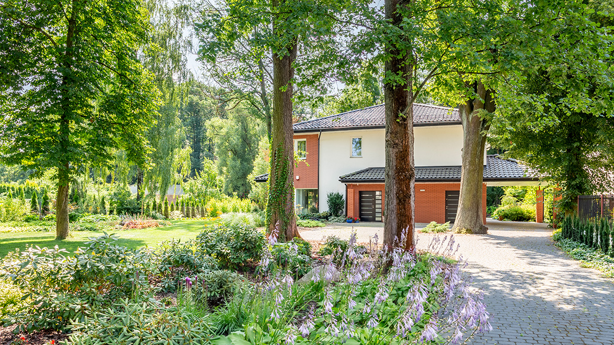 Off-Market-Immobilien, eine Immobilie mit Garten und Bäumen