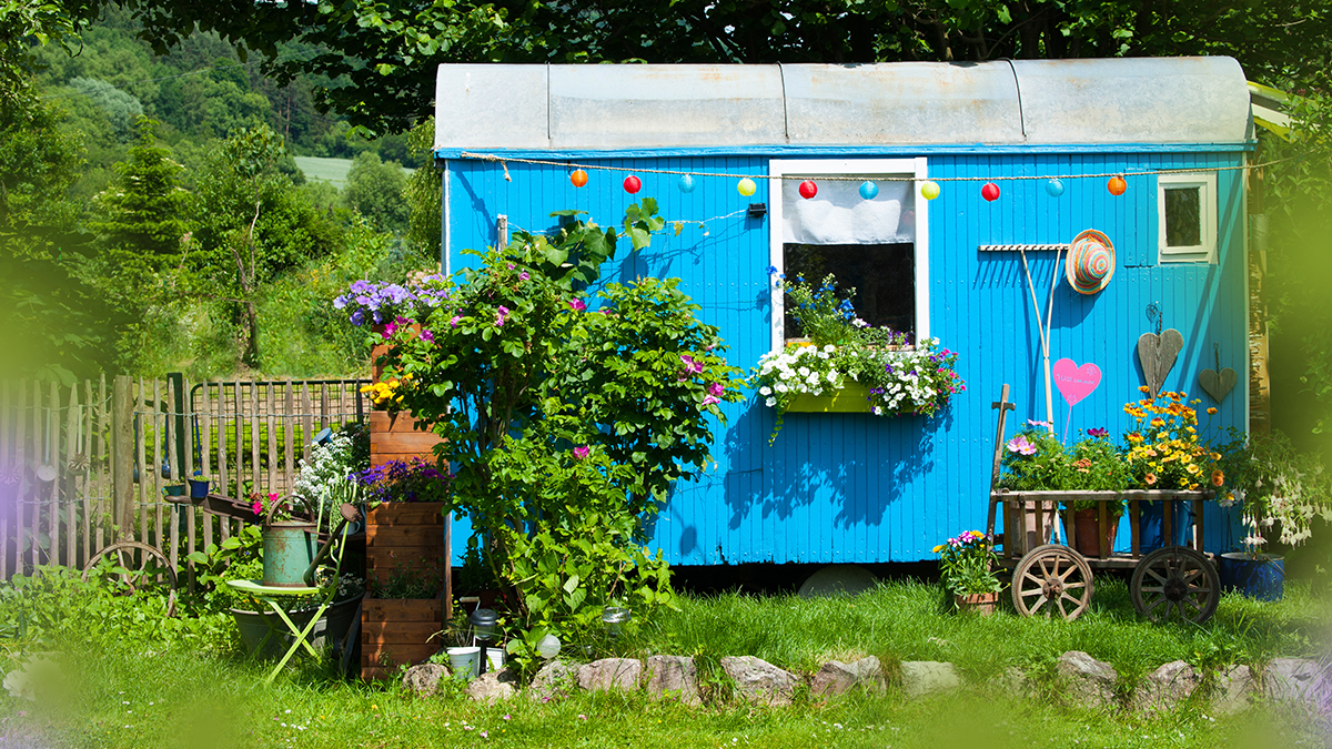blauer Bauwagen im Grünen