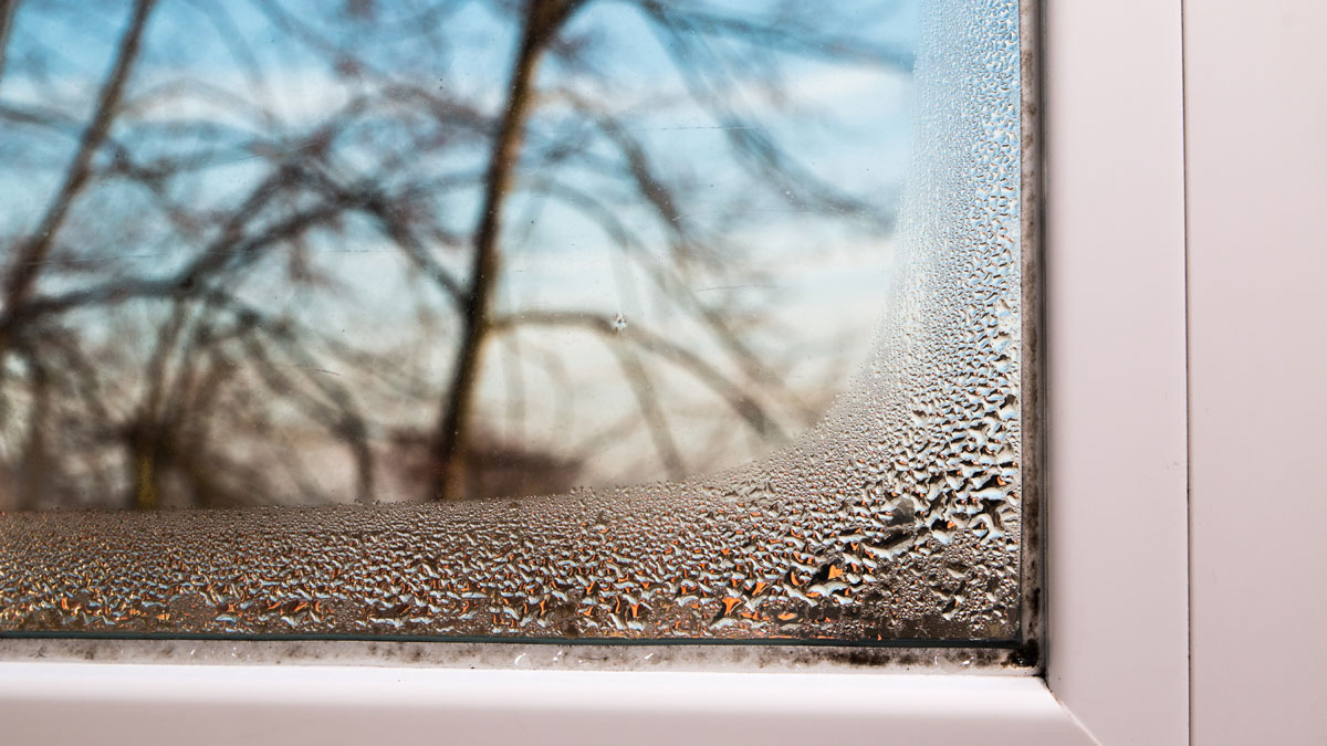 Kondenswasser am Fenster