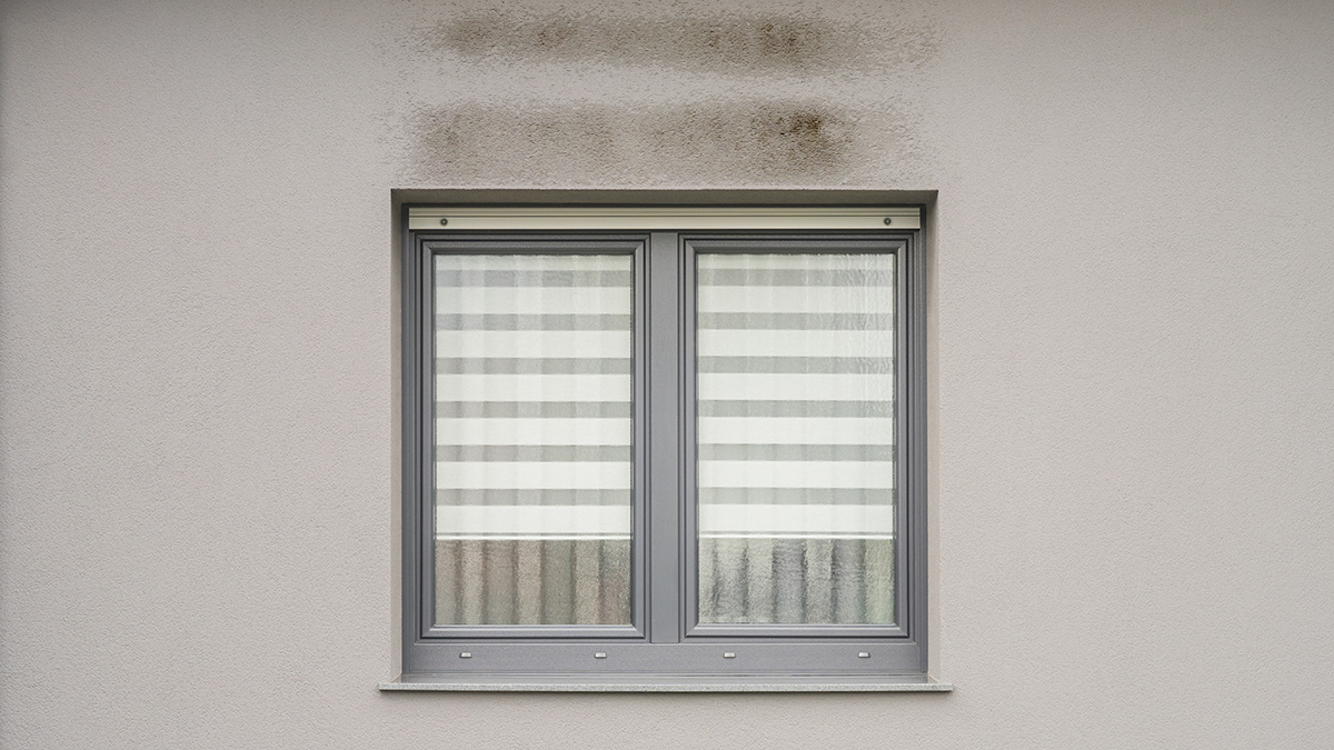 Schwarze Flecken über Fenste