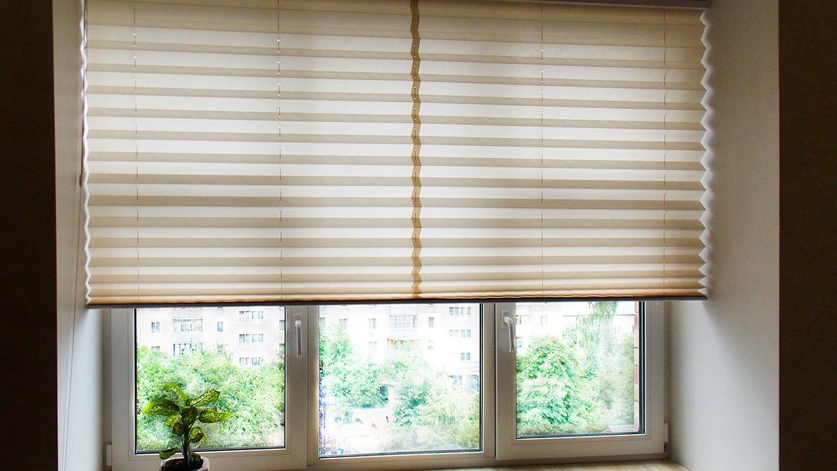 Sichtschutz Vorhang oder Plissee