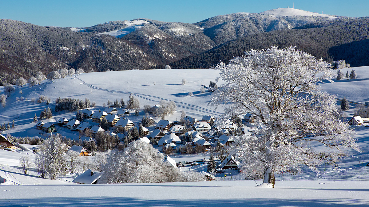 Eine eigene Immobilie direkt am Hang? Das ist der heimliche Traum vieler Skisport-Begeisteter. Foto: iStock.com / Tsisha