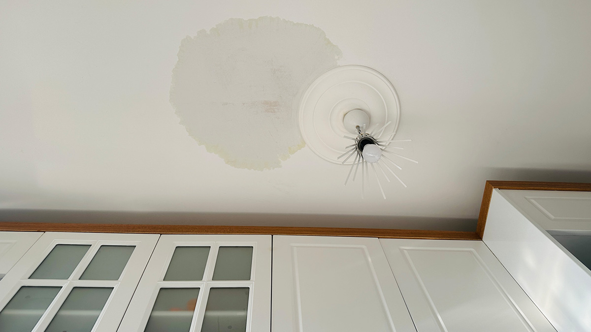 Wasserflecken an der Decke, Wasserfleck an der Decke