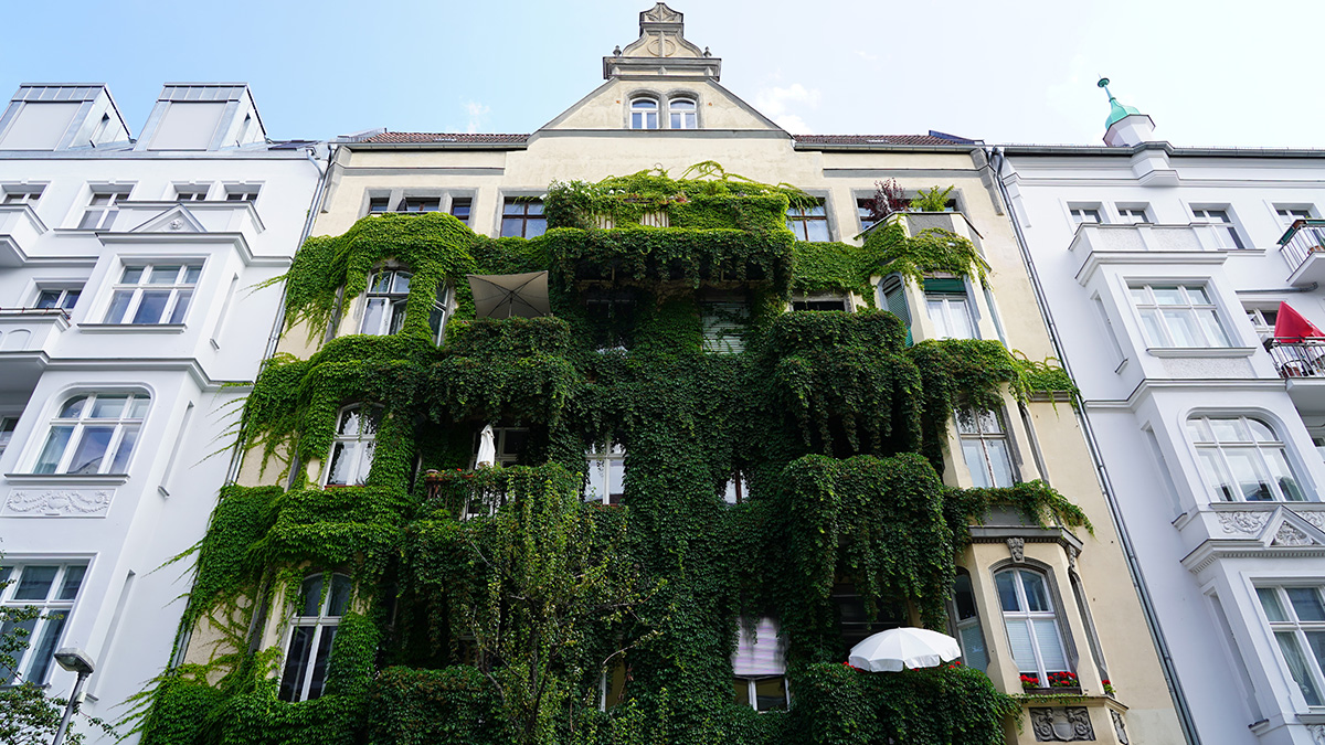 Fassadenbegrünung -mehr als nur ein Trend?