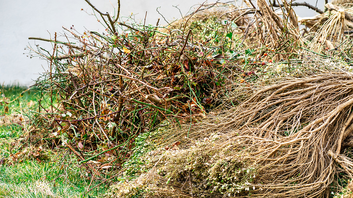 Eine Gartenarbeit ist vielerorts nur noch bis Ende März erlaubt