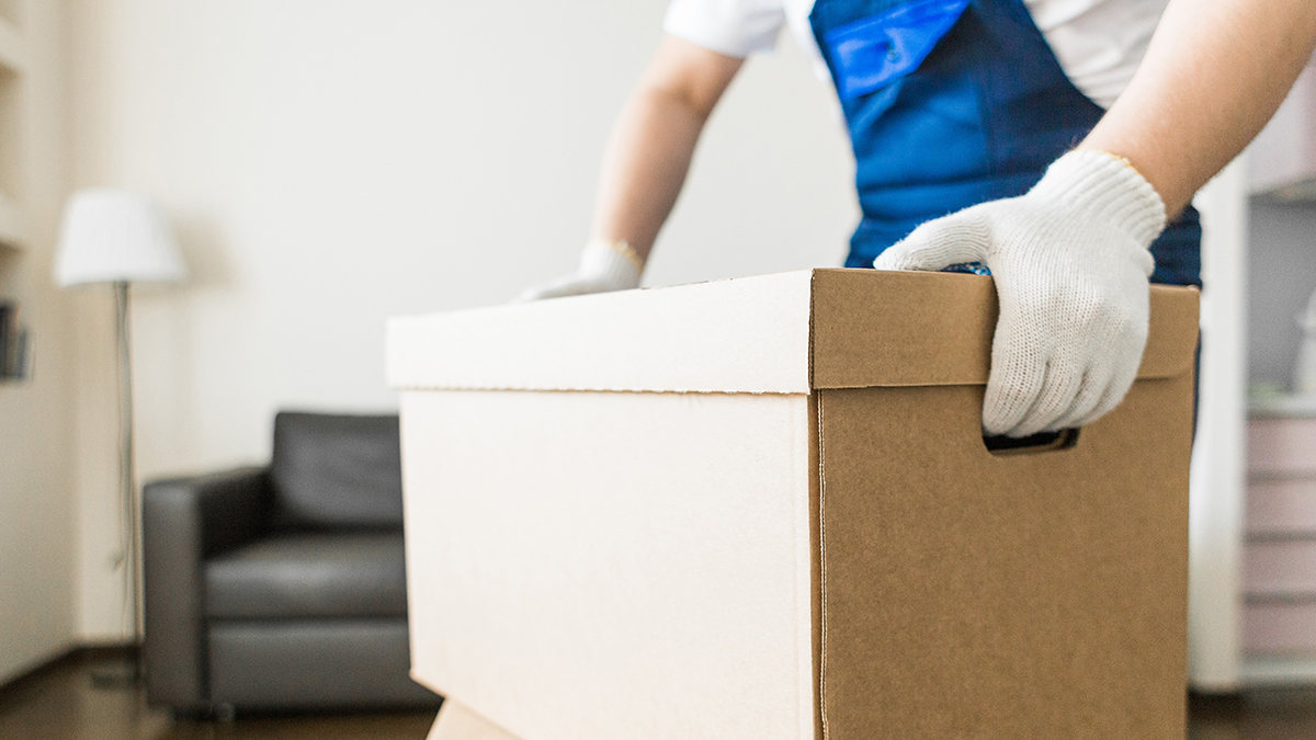 Umzugskarton wird getragen