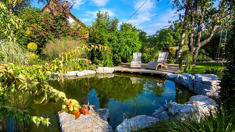 dicht bewachsener Naturgarten mit Teich und zwei Holzliegestühlen 