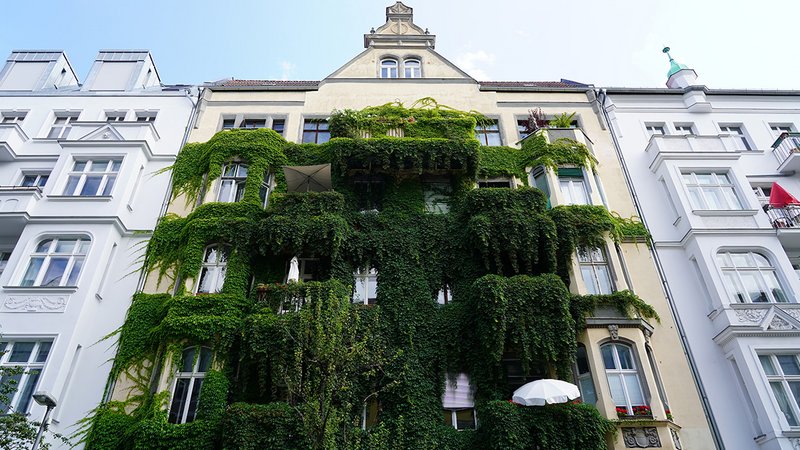 Fassadenbegrünung -mehr als nur ein Trend?