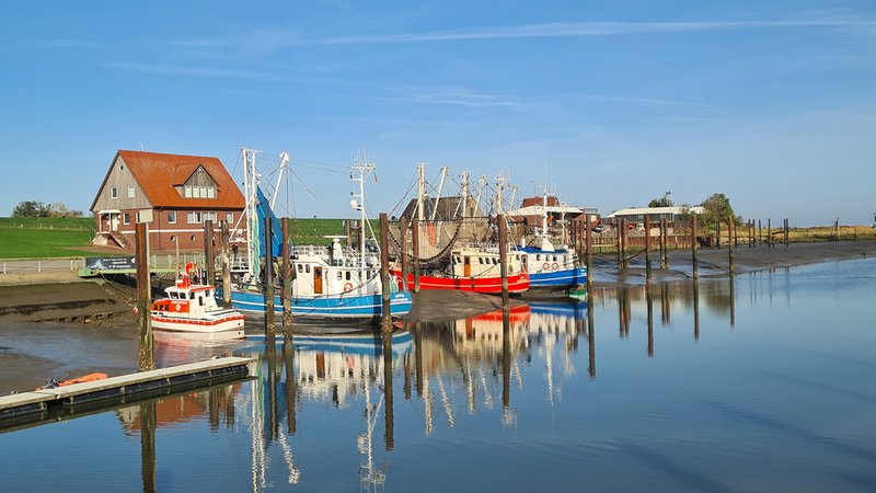Ferienwohnung Meer günstig, Butjadingen