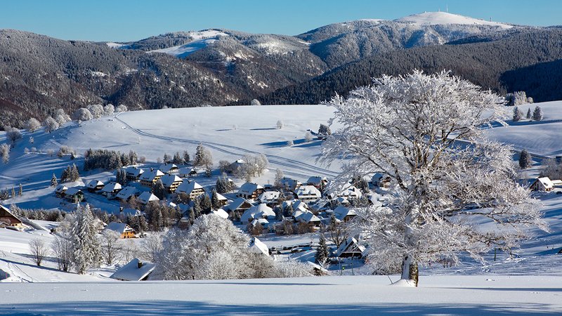 Eine eigene Immobilie direkt am Hang? Das ist der heimliche Traum vieler Skisport-Begeisteter. Foto: iStock.com / Tsisha