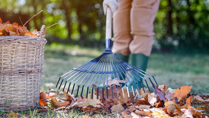 Ein Rechen kehrt Laub zusammen