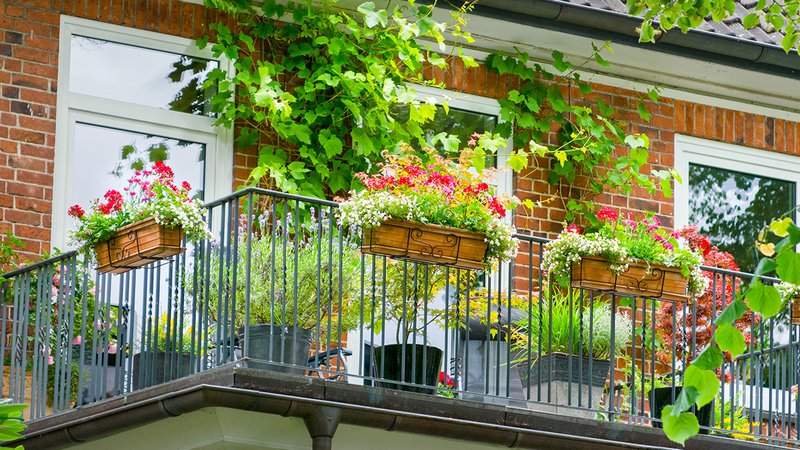 Ist das schon verboten? Blumenkästen können zur Gefahr werden.