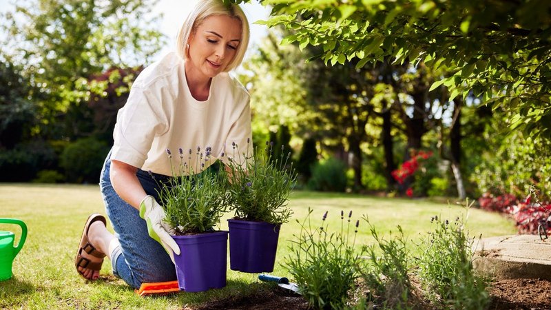 Eine Frau im Garten beim Gärtnern. 