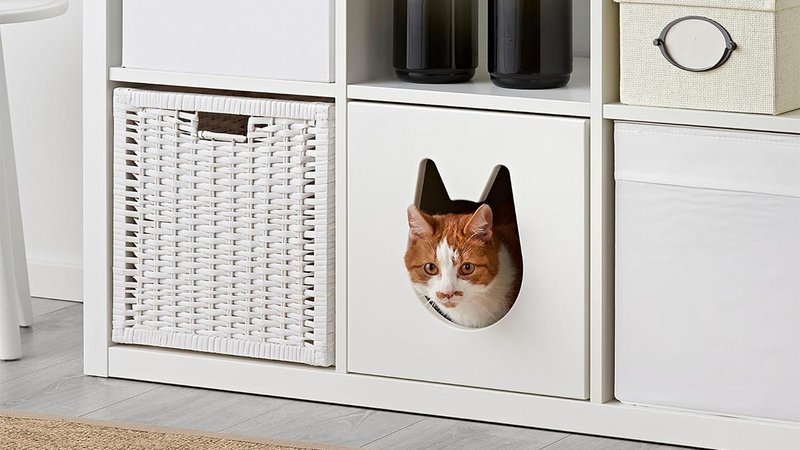 Eine Katze schaut aus dem Ikea Kallax Regal