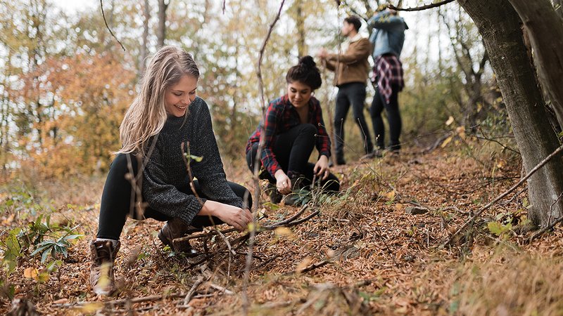 Holz sammeln, drei Frauen und ein Mann sammeln Holz im Wald