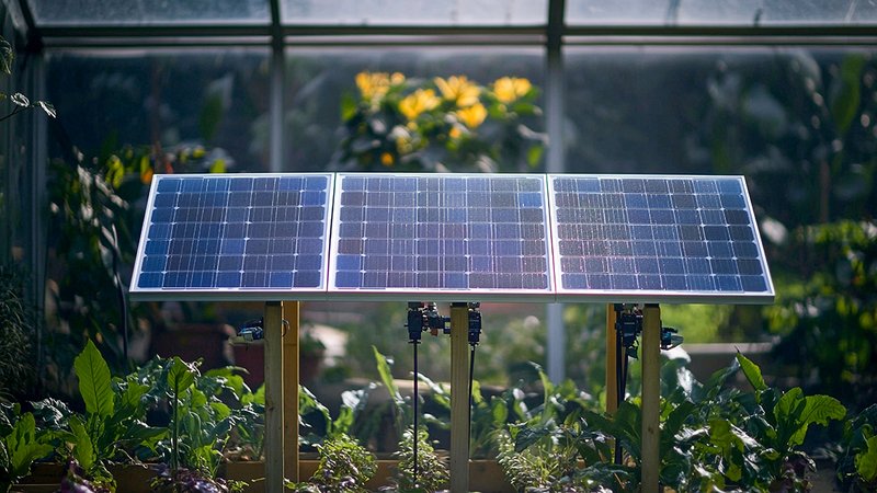 Ein Balkonkraftwerk im Garten.