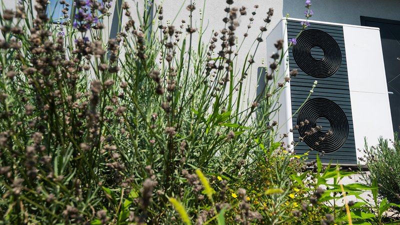 Wärmepumpe Bepflanzung