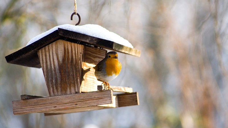 Upcycling Vogelhäuser, ein DIY-Vogelhaus