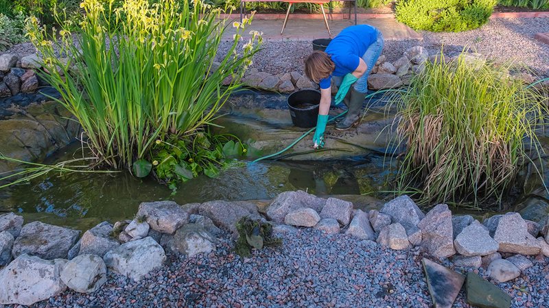 Frau reinigt einen Gartenteich