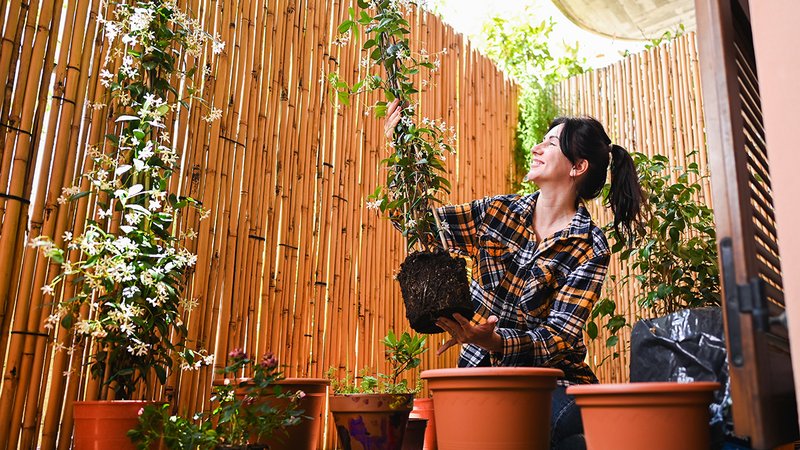 DIY Sichtschutz, Frau auf Balkon vor Sichtschutz aus Bambus