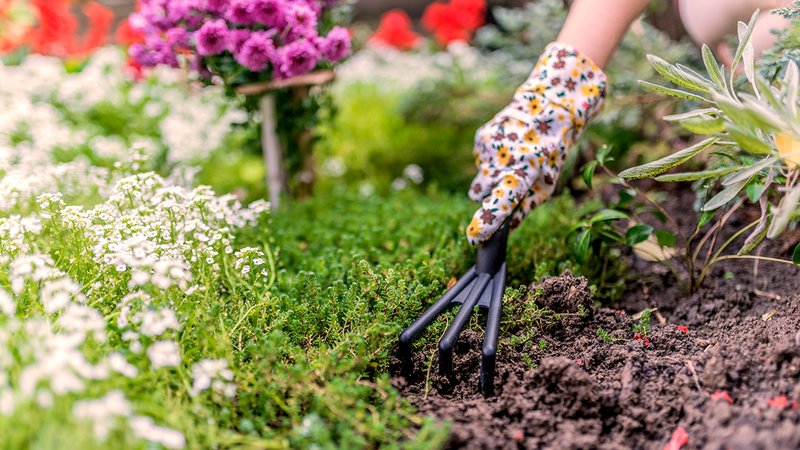 Abkühlung nutzen Garten, Bodenpflege im Garten