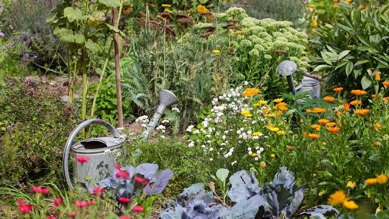 Regeneratives Gärtnern, ein biologisch vielfältiger Garten