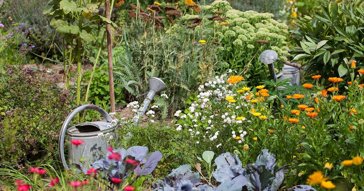 Garten-Ertrag steigern: 5 Prinzipien für gesunden Boden