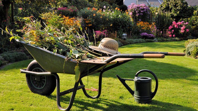 Garten Vorbereitung Herbst, Schubkarre im Garten