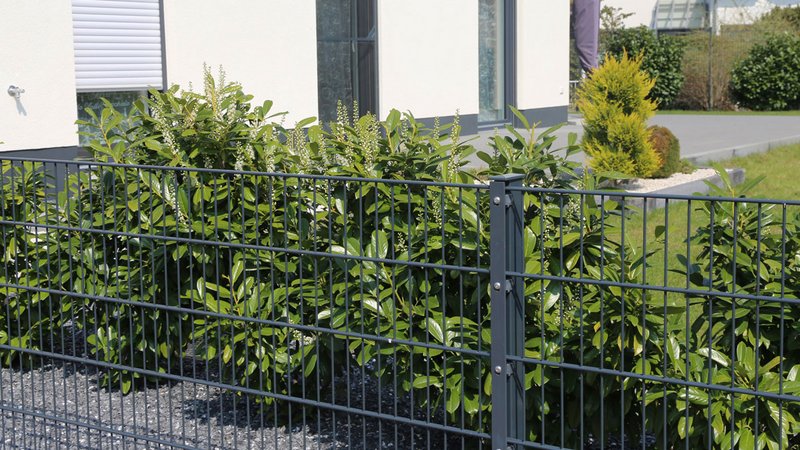 Zäune Tipps, Stabmattenzaun