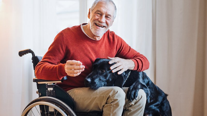 Ein Mann im Rollstuhl mit seinem Hund