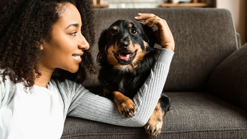 Eine Frau kuschelt mir ihrem Hund am Sofa.