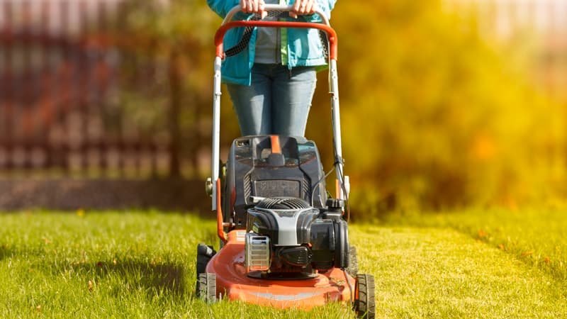 Grillen, Rasenmähen, Nacktsonnen, Frau mäht den Rasen