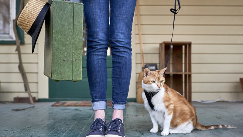 Eine Frau steht mir ihrer angeleinten Katze vor ihrer Haustür