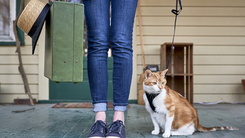 Eine Frau steht mir ihrer angeleinten Katze vor ihrer Haustür